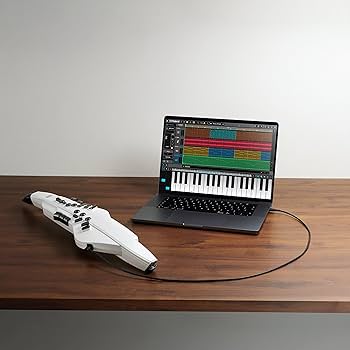 Amazon | 【人気No.1 Roland エアロフォン AEシリーズ】【すぐに